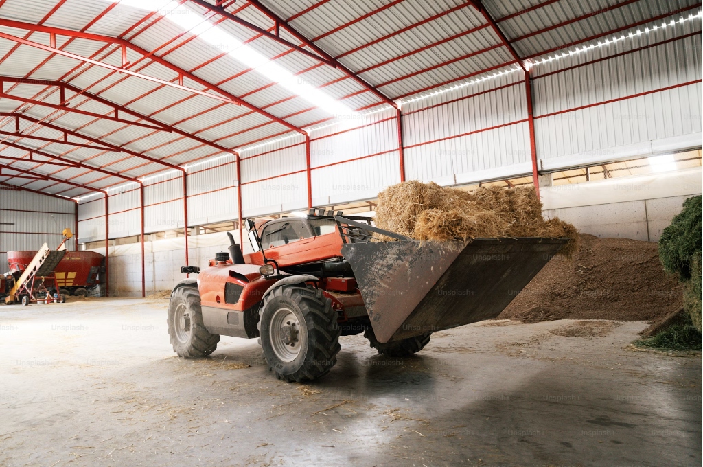 Sustainable Food Storage Systems: Addressing Post-Harvest Loss