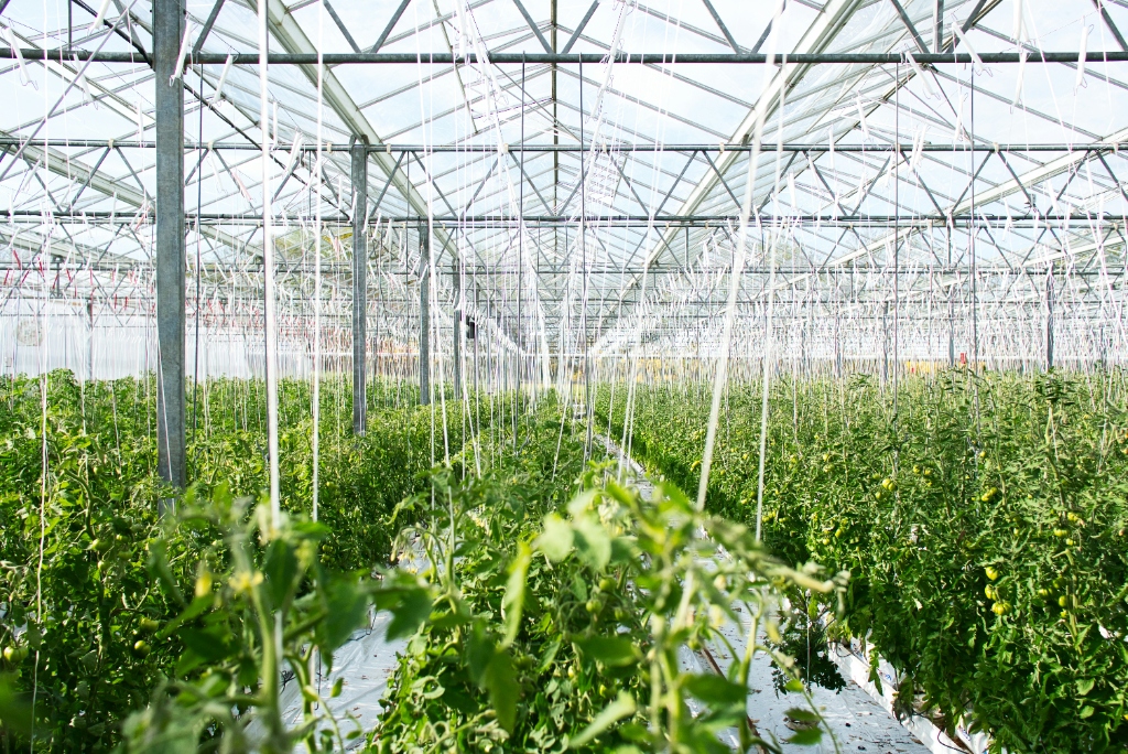 Strategic Framework for Agri-Infrastructure Expansion in Sub-Saharan Africa