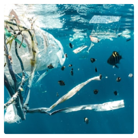 An environmental burden